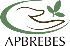 Association for Plant Breeding for the Benefit of Society (APBREBES)