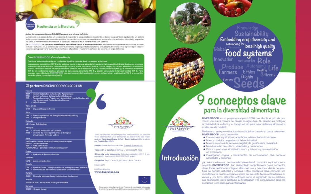 9 conceptos clave para la diversidad alimentaria
