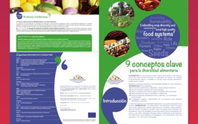 9 conceptos clave para la diversidad alimentaria