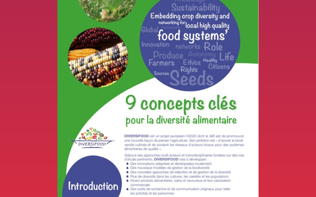 9 concepts clés pour la diversité alimentaire