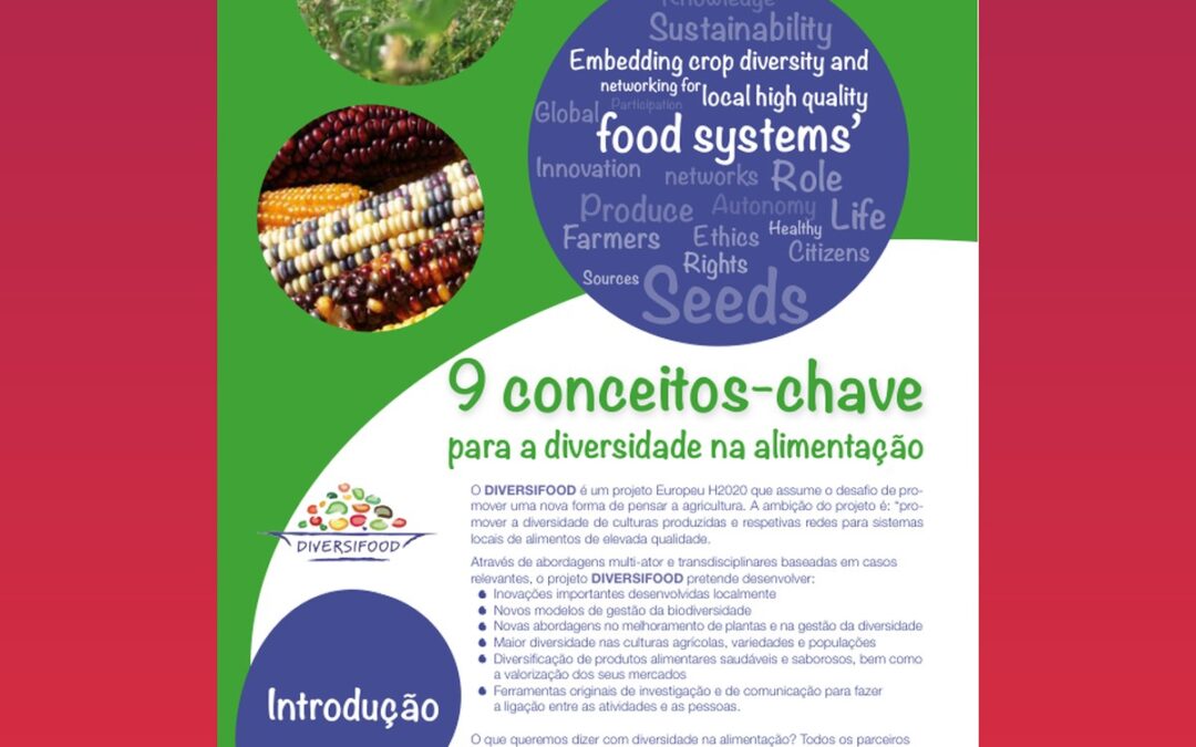 9 conceitos-chave para a diversidade na alimentação
