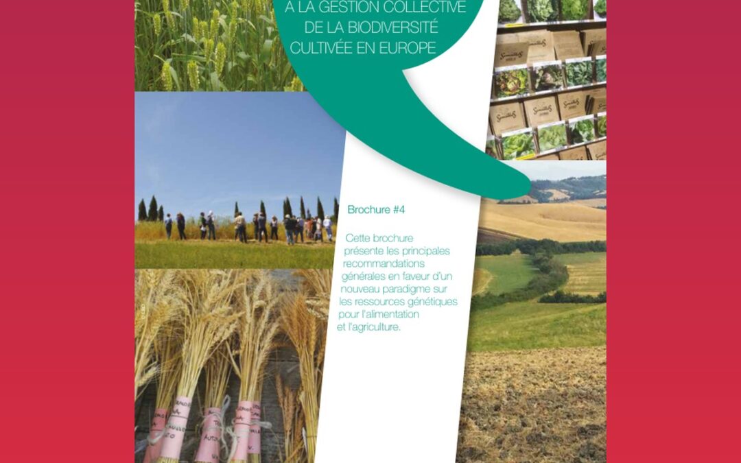 Promouvoir un environnement favorable à la gestion collective de la biodiversité cultivée en Europe
