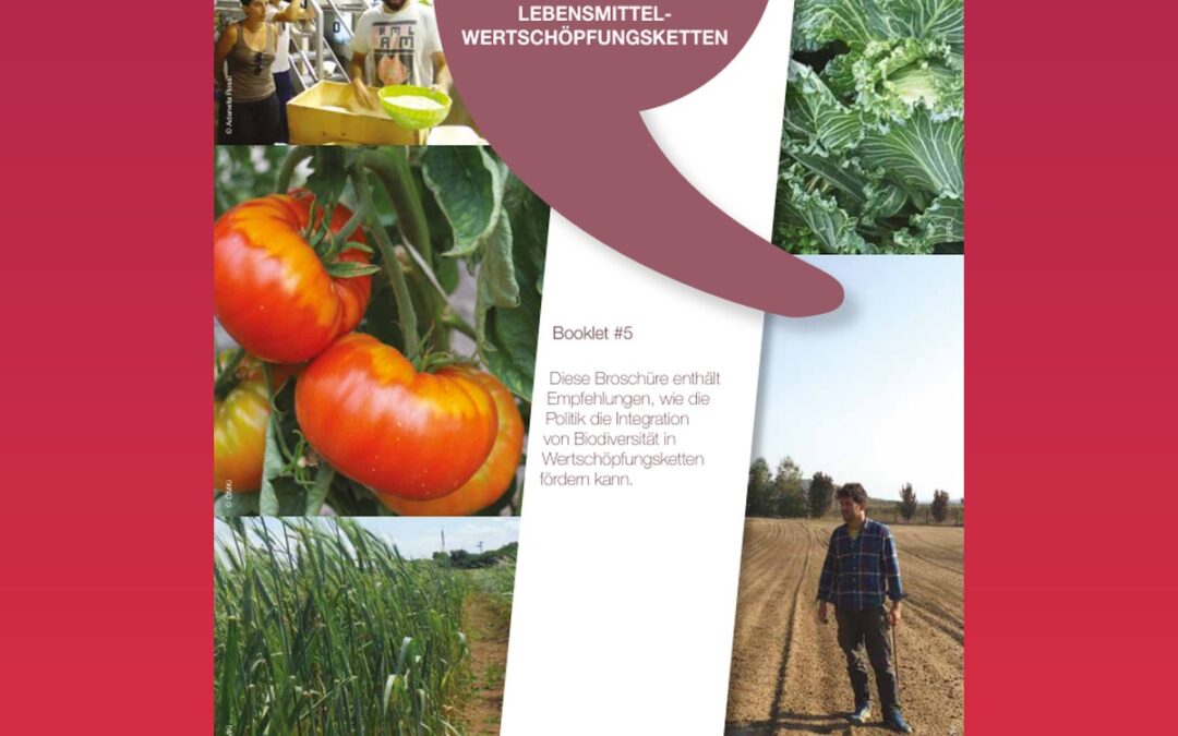 Politikempfehlungen zur Integration der Biodiversität von Kulturpflanzen in Lebensmittel-Wertschöpfungsketten (DIVERSIFOOD Booklet #5)
