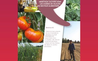 Pour un système alimentaire diversifié : ancrer la diversité génétique cultivée dans les chaînes de valeurs du secteur alimentaire