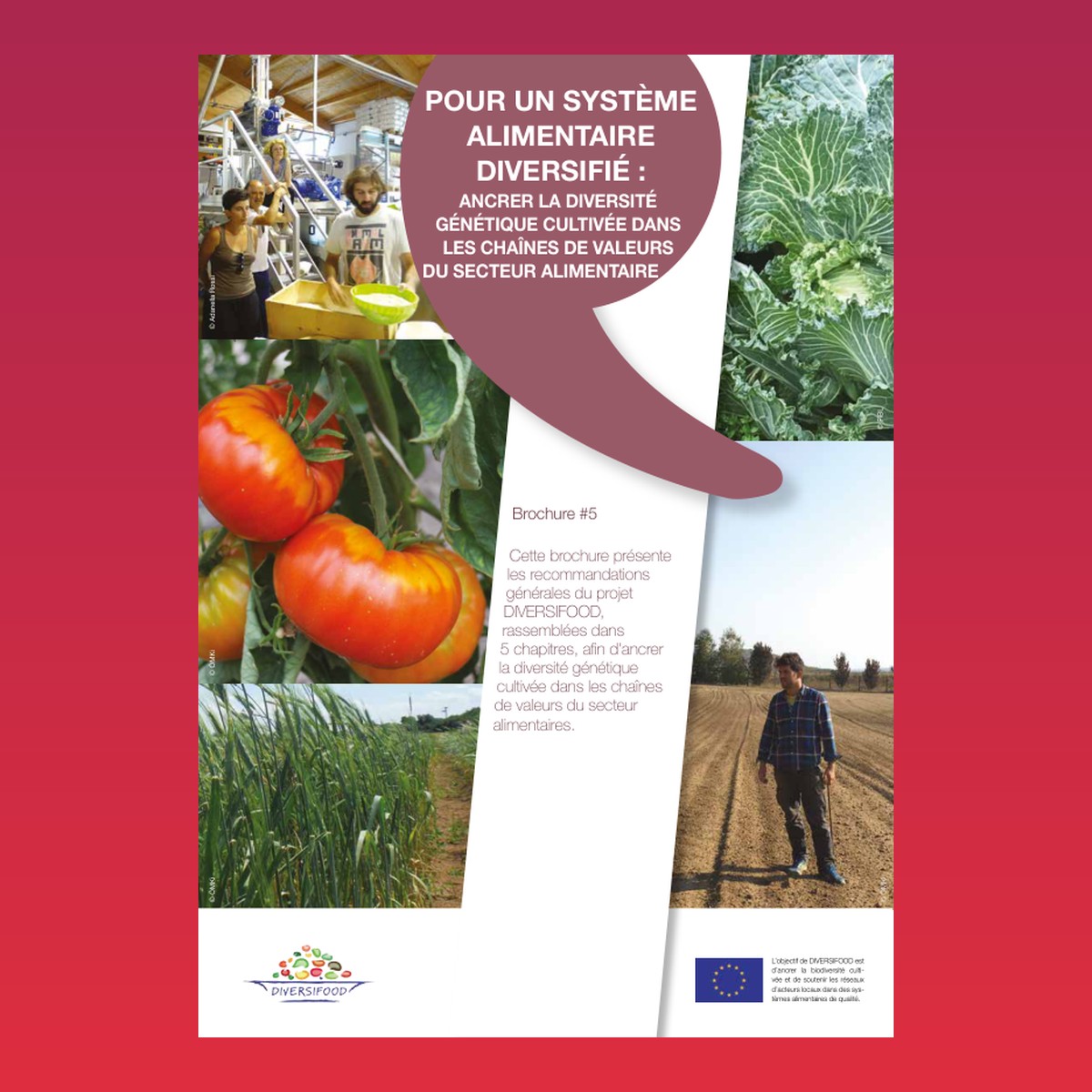 Pour un système alimentaire diversifié : ancrer la diversité génétique cultivée dans les chaînes de valeurs du secteur alimentaire – cover