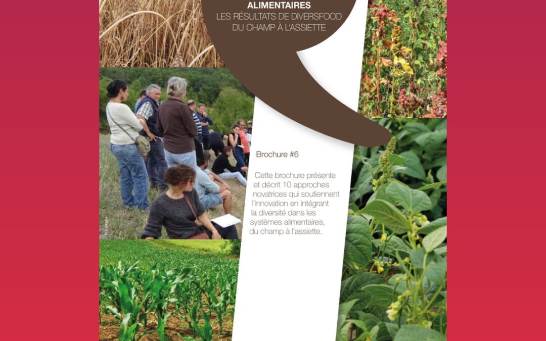 Approches innovantes pour intégrer la diversité dans les systèmes alimentaires : Les résultats de DIVERSIFOOD, du champ à l’assiette (Brochure #6)