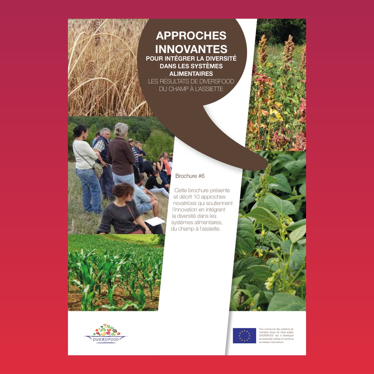 Approches innovantes pour intégrer la diversité dans les systèmes alimentaires : Les résultats de DIVERSIFOOD, du champ à l’assiette (Brochure #6) – cover