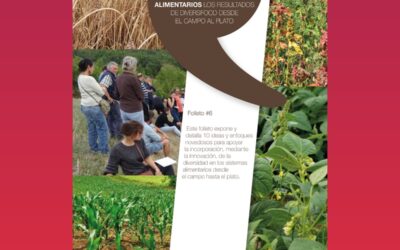 Enfoques innovadores para la incorporación de la diversidad en los sistemas alimentarios: resultados de DIVERSIFOOD desde el campo al plato (Folleto #6)