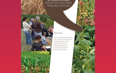 Innovative approaches to embed diversity in food systems: DIVERSIFOOD outcomes from field to plate (Booklet #6)