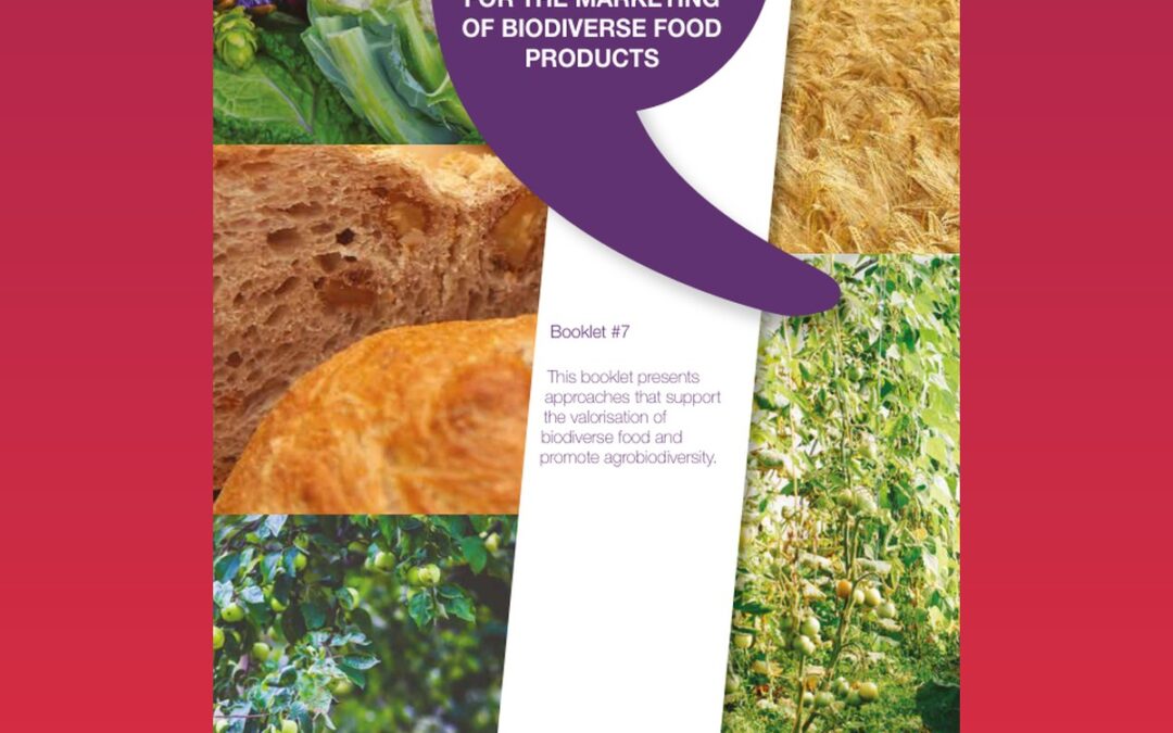 Embedding crop genetic diversity in food value chains. Recommendations for the valorisation of biodiverse food (Booklet #7)