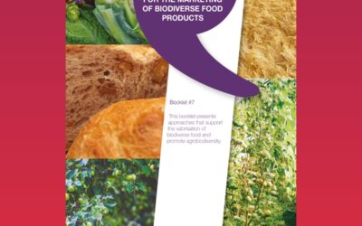 Embedding crop genetic diversity in food value chains. Recommendations for the valorisation of biodiverse food (Booklet #7)