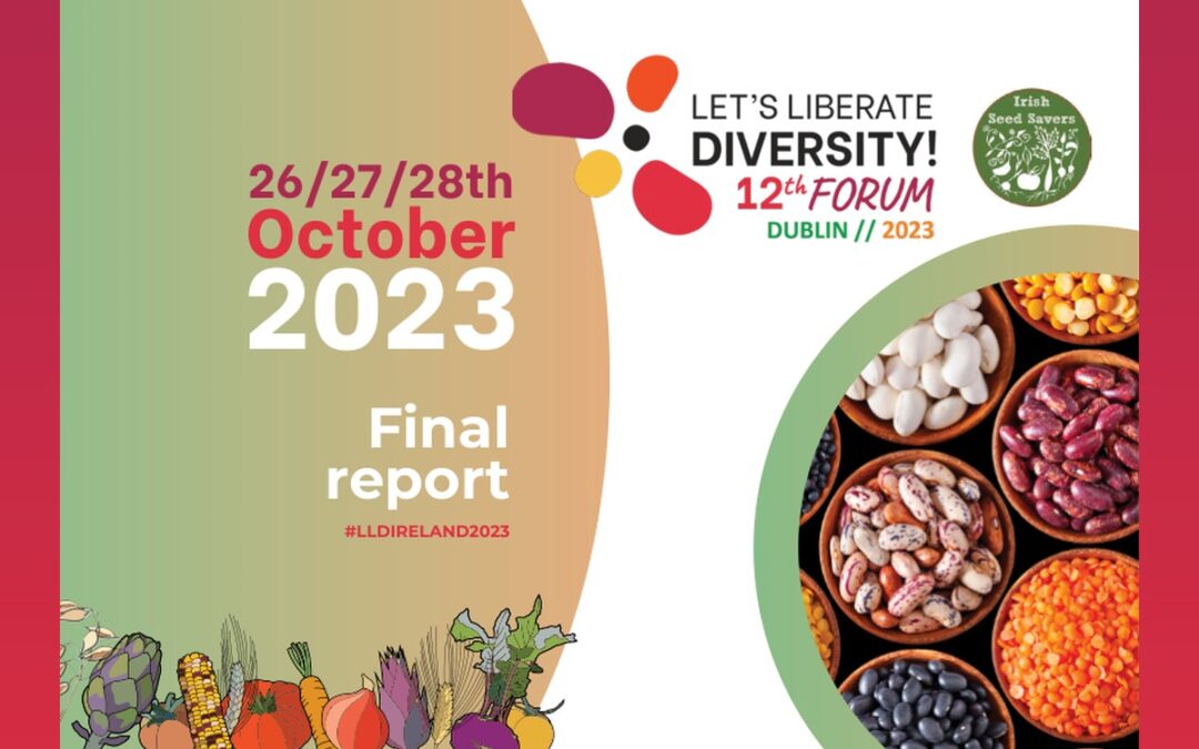 12th Let’s Liberate Diversity! Forum – Dublin 2023 – Final report