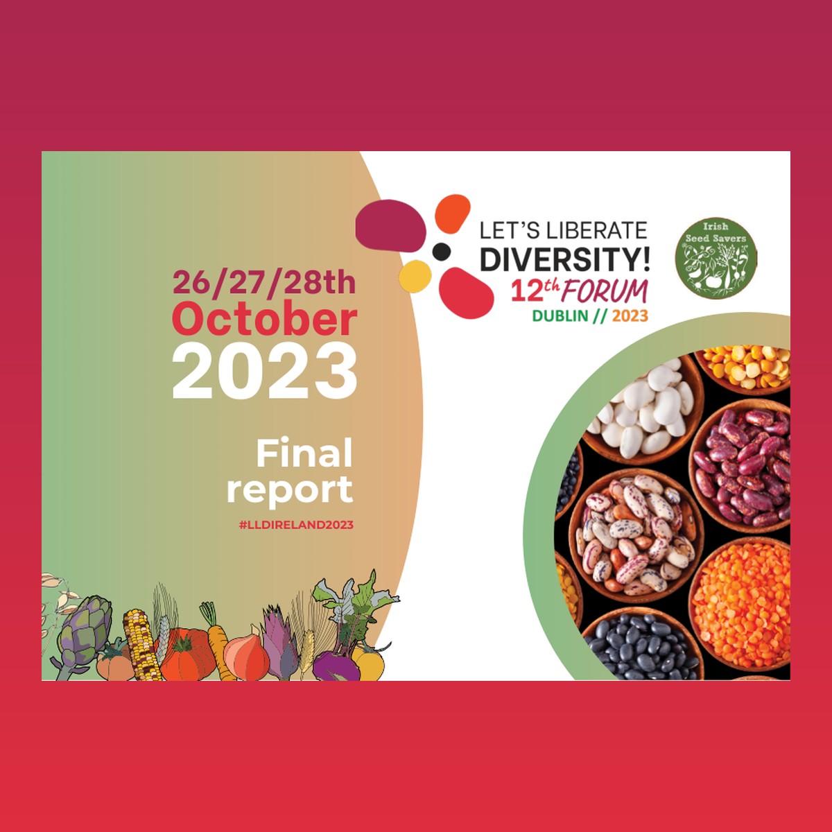 12th Let’s Liberate Diversity! Forum – Dublin 2023 – Final report – cover