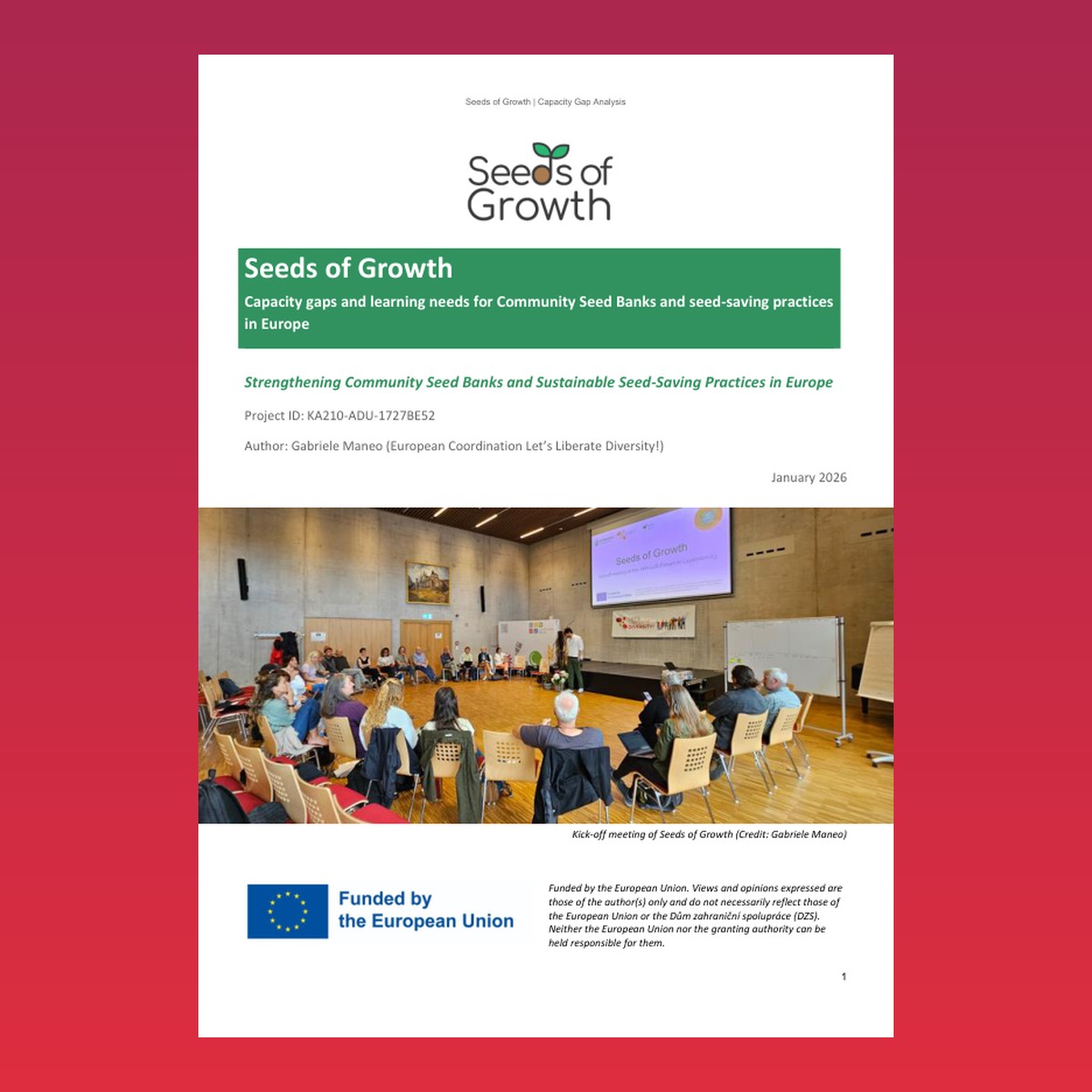 Capacity Gap Analysis – report cover