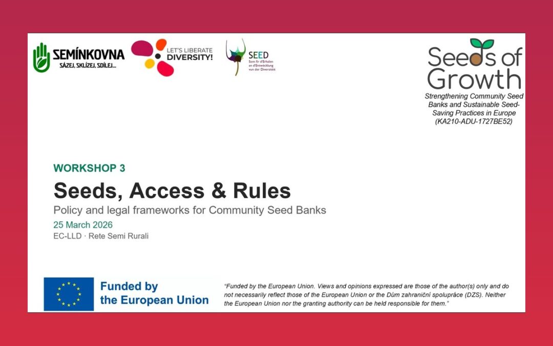 Seeds, Access & Rules: policy and legal frameworks for Community Seed Banks – CSB Lab Workshop 3 (video)