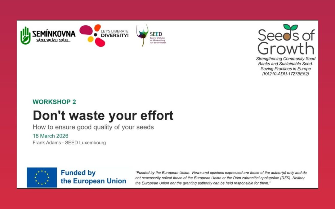 Don’t waste your effort: how to ensure good quality of your seeds – CSB Lab Workshop 2 (video)