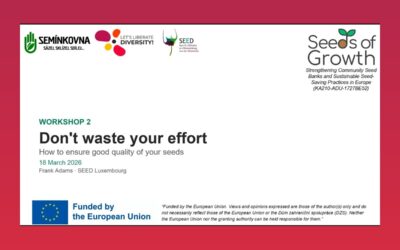 Don’t waste your effort: how to ensure good quality of your seeds – CSB Lab Workshop 2 (video)