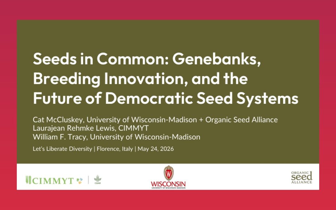 Seeds in Common: Genebanks, Breeding Innovation, and the Future of Democratic Seed Systems
