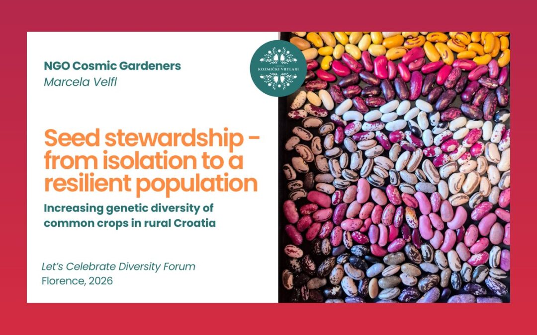 Seed stewardship – from isolation to a resilient population