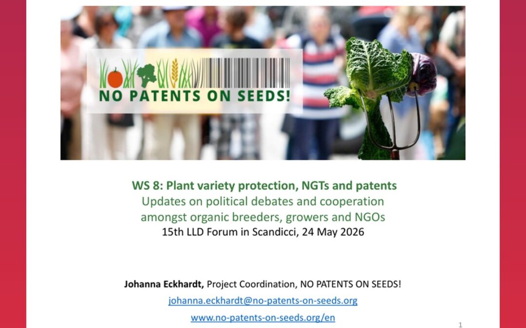 Plant variety protection, NGTs and patents: Updates on political debates and cooperation amongst organic breeders, growers and NGOs