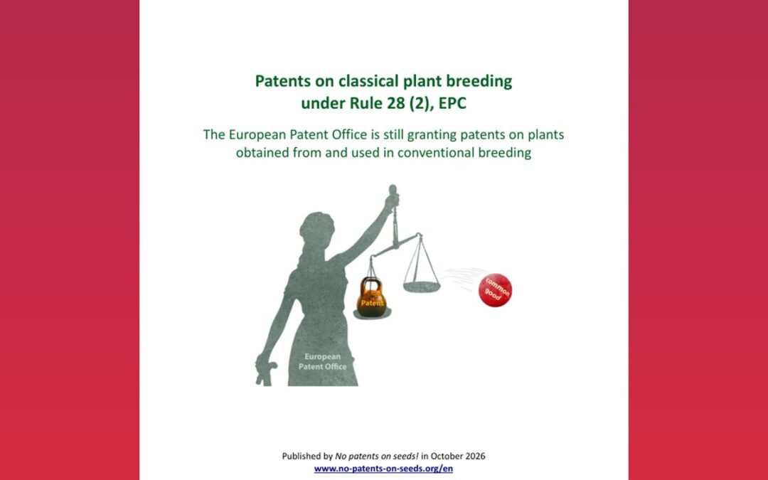 Patents on classical plant breeding under Rule 28(2) EPC: the European Patent Office is still granting patents on plants obtained from and used in conventional breeding