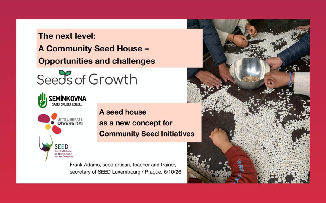 The next level: A Community Seed House – Opportunities and challenges
