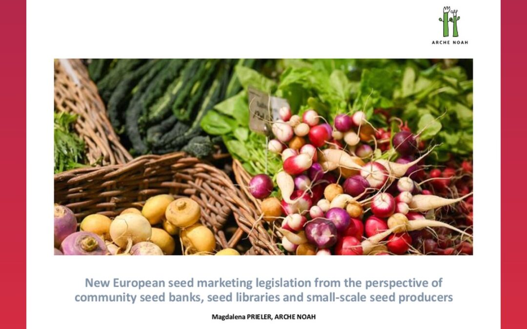 New European seed marketing legislation from the perspective of community seed banks, seed libraries and small-scale seed producers