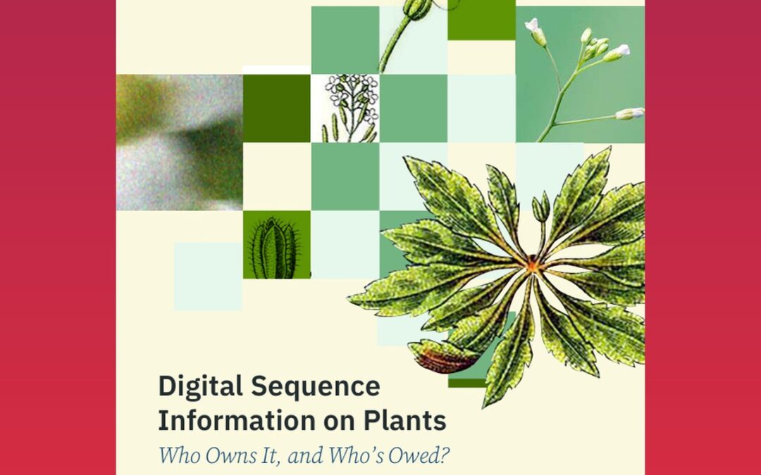 Digital Sequence Information on Plants: Who Owns It, and Who’s Owed? Mapping Governance Under the Convention on Biological Diversity and the International Treaty on Plant Genetic Resources for Food and Agriculture